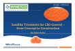 Satellite Treatment for CSO Control – from Concept to ...March 2015 to June 2017 CBOD 19.9 mg/L 5 = TSS= 15.1 mg/L TP= 0.4 mg/L NH3-N = 2.2 mg/L Other Benefits: •athogen Indicators: