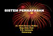 SISTEM PERNAFASAN · SISTEM PERNAFASAN dr. Hadi Sarosa, M.Kes Bag. Ilmu Faal F.K. Unissula Semarang