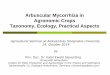 Arbuscular Mycorrhiza in Agronomic Crops Taxonomy, …ldd.asu.lt/doc/Mikorizes konferencija_2014/Zemes augalu arbuskuline mikorize.pdfArbuscular Mycorrhiza in Agronomic Crops Taxonomy,