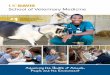 School of Veterinary Medicine · Since its inception in 1948, the UC Davis School of Veterinary Medicine has shaped the field of veterinary medicine—setting the bar for education,