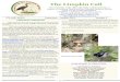 The Limpkin Call - oklawaha-valley-audubon.org · The Limpkin Call The newsletter of the Oklawaha Valley Audubon Society, a chapter of Audubon Florida and the National Audubon Society