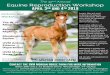 Equine Reproduction Workshop - uvm.edu · science of equine reproduction through two days of lectures and hands-on demonstrations. From the ethics of breeding, mare and stallion management,