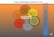 Organic & Biological properties of soil Organic & Biological properties of soil Soil Biology e. Organic