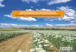 AdAptAtion de l’Agriculture Aux chAngements climAtiques ...draaf.paca.agriculture.gouv.fr/IMG/pdf/RAC_Publi... · changements climatiques constatés sur le terri-toire, et les façons