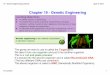 Chapter 19 Genetic Engineering - Mr. C - Genetic Engineering.pdf · Chapter 19 Genetic Engineering The genes we want to use is called the Target gene. We take it from one organism
