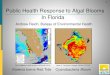 Public Health Response to Algal Blooms In Florida...Public Health Response to Algal Blooms Andrew Reich, Bureau of Environmental Health In Florida Gulf of Mexico HAB Bulletin: NOAA