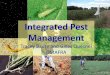 Integrated Pest Management - FarmSmart · • Integrated Pest Management • A systems approach to pest control method that ... areawide suppression of O. nubilalis populations, which