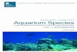 NO RTHERN TERRITO RY Aquarium Species · Anemonefishes / Clownfishes / Damselfishes (Pomacentridae) Clark’s anemonefish (Amphiprion clarkii) 37372007 Rudie H. Kuiter Australian