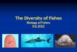 The Diversity of Fishes - WordPress.com...The Diversity of Fishes Biology of Fishes 9.6.2012 Behavior & Morphology Feeding (carnivores, herbivores, parasites) Habitat (marine, freshwater,