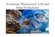Evolution, Evolution, PhanerozoicPhanerozoic Life Life and ...thorne/EART204/... · Some References Alroy, J. (2008), Dynamics of origination and extinction in the marine fossil record,