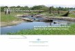 Drainage Maintenance in Agricultural Waterwaysstewardshipcentrebc.ca/PDF_docs/sar/StewardshipPractices... · 2016-05-17 · Island. Agricultural waterways and lands adjacent to them