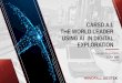 CARSD A.I. THE WORLD LEADER USING AI IN DIGITAL …...Rest of World $27 billion $8 billion 0.32 Total $140 billion $93 billion 0.57 Discovering new sources of minerals, such as base