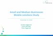 Small and Medium Businesses Mobile solutions Study€¢ Small Business: 20-99 employee segments • Medium Business: 100-249, 250-499, 500-1,000 employee segments • Some relevant
