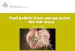 Fuel pellets from energy grass – the full storyProcess optimization of combined biomass torrefaction and pelletization for fuel pellet production — A parametric study Magnus Rudolfssona