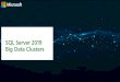 SQL Server 2019 Big Data Clusters · Unified relational and big data using data virtualization Apache Hadoop Distributed File System (HDFS) storage and Spark are built-in to SQL Server