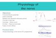 Physiology of nerve and muscle - uniba.sk · Types of nerve fibres Practical tasks Virtual physiology of the nerve (PC programme) Figure 8.2-2 ESSENTIALS –Neuron Anatomy Nucleus