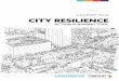 CityRAP Tool CITY RESILIENCEdimsur.org/wp-content/uploads/2019/03/CityRAP-Tool... · 2019-03-06 · CITYRAP TOOL The CityRAP Tool is a step-by-step participatory resilience planning