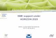 SME support under HORIZON 2020 · SME support under HORIZON 2020 ... exploitation and commercialisation ... sharing, dissemination SME window in the EU financial facilities (debt