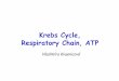 Krebs Cycle, Respiratory Chain, ATPvyuka-data.lf3.cuni.cz/CVSE1M0001/vk_krebs_rch_atp... · Respiratory chain (RCH) is found in all cells containing mitochondria is composed of 4