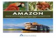 AMAZON - Mass Audubon THE AMAZON RIVER / R£†O UCAYALI Early morning birding along the Amazon River from
