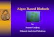 Algae Based Biofuels ... Source lbs, oil/acre oil, gal/acre biodiesel, gal/acre _____ Low yield algae 9,914 1,292 877. 1. High yield algae 71,190 9,281 6,300. 1. Corn 245 18 21. Soybean