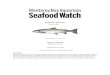 Atlantic salmon - Seafood Watch · The final numerical score for Atlantic salmon produced in marine net pens in the Faroe Islands is 3.85 out of 10. This indicates some concerns are