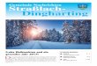 Frohe Weihnachten und ein · PDF file 2017-02-02 · Frohe Weihnachten und ein gesundes Jahr 2017! D ie Gemeinde Straßlach-Dingharting wünscht stellvertretend für alle Mitarbeiter
