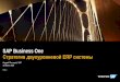 SAP Business One Стратегия двухуровневой ERP …...2018/06/26  · УДОБНОЕ ДЛЯ ПОЛЬЗОВАТЕЛЕЙ РЕШЕНИЕ, АДАПТИРОВАННОЕ