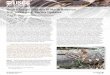 fs2017-3064 - Snake Fungal Disease in North America: U.S ...Snake Fungal Disease in North America: U.S. Geological Survey Updates. By Noelle E. Thompson. 1, Emily W. Lankau. 2, and