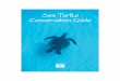 Sea Turtle Conservation Guide - conserveturtles.org · Green turtle (Chelonia mydas) Green turtles are an endangered species around the world. They are easily distinguished from other