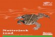 NATTERJACK INSIDES (717) - gov.uk · This handbook provides practical guidance for the conservation of natterjack toads on the basis of current knowledge. It therefore covers management