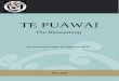 TE PUAWAI - College of Nurses Aotearoa (NZ) Inc Puawai May 2018 sml.pdf · The College of Nurses Aotearoa (NZ) Inc provides Te Puawai as a forum for its members to express professional