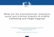 What are the environmental, economic, social and criminal ...ec.europa.eu/environment/legal/law/4/pdf/... · What are the environmental, economic, social and criminal impacts of wildlife