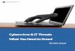 Cybercrime & IT Threats - What you need to Know! · properly and adversely affects sales and work processes. In fact, downtime accounted for nearly half of each study. Detection and