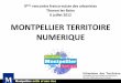 MONTPELLIER TERRITOIRE NUMERIQUE - UNIL · 2017-08-31 · Montpellier Innovation complète MTN par un appel àproje. t : Programme de soutien à. l’innovation sociale par le numérique
