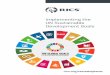 Implementing the UN Sustainable Development Goals · We are actively influencing sectoral climate and energy efficiency policy decision-making through participation, in relevant stakeholder