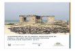 Governance of Climate Adaptation in Small Island ... · Focusing on Zanzibar, the overall objective of the project 'Governance of Climate Change Adaptation in Small Island Developing