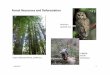 Forest Resources and deacon/Econ122Public/ ¢  Forest Resources and Deforestation Forest