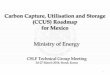 Carbon Capture, Utilisation and Storage (CCUS) Roadmap for ...€¦ · CCUS Roadmap rev. 2014 14 Key remarks • CCS will play an important role for the transition to a low-carbon