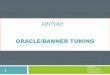 ORACLE/BANNER TUNING Tuning.pdf3. When/Why Upgrade to 12c - Search on: “This upgrade is recommended to be applied with Oracle Database Release” 13 ***From Ellucian: Technology
