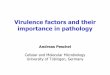 Virulence factors and their importance in pathology · 2007-07-24 · Virulence factors and their importance in pathology Andreas Peschel Cellular and Molecular Microbiology University
