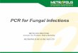 PCR for Fungal Infections - Metropolis Healthcare · 2016-08-31 · PCR for fungal infections • The PCR method for DNA amplification was developed by Kary Mullis and colleagues