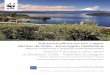 Salmonicultura en los Lagos del Sur de Chile - …...se desarrolla en los ecosistemas lacustres del sur de Chile. Destaca la calidad de la información, su excelente presentación