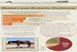 NATIONAL HORSE BURRO RANGELAND ANAGEMENT OALITION …wildlife.org/wp-content/uploads/2016/05/TWS-News-horse-fact-sheets.pdf · HORSES AND BURROS: OVERVIEW NATIONAL HORSE & BURRO RANGELAND