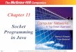 Chapter 11 Socket Programming in Java · 2017-01-18 · Chapter 11: Objective We show how entities such as IP addresses, ports, and socket addresses are represented by corresponding