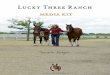 MEDIA KIT - Mule, Donkey & Horse Training with Meredith …mule to ever reach fourth-level dressage and Little Jack Horner was the world’s first formal jumping donkey to clear four