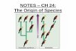 NOTES CH 24: The Origin of Species...NOTES –CH 24: The Origin of Species Hummingbirds of Costa Rica Species • SPECIES: a group of individuals that mate with one another and produce