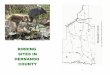 BIRDING SITES IN HERNANDO COUNTYhernandoaudubon.org/birdingsitesinhernandocounty.pdfBIRDING SITES IN HERNANDO COUNTY This pamphlet is designed to help local and visiting birders by