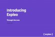 Introducing Expleobusiness platform Project • New business processes, application landscape, and customer experience landscape implemented across multiple geographies Services •