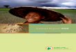 Annual report 2008 · 2017-09-26 · AnnuAl RepoRt 2008 7 most effective protocols available. A contract was also concluded with Bioversity International, which involves K.u.leuven